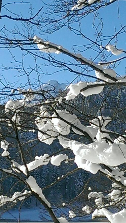Fw Weissensee 44 Füssen Extérieur photo