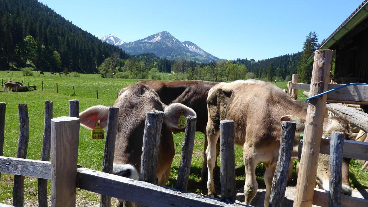Fw Weissensee 44 Füssen Extérieur photo
