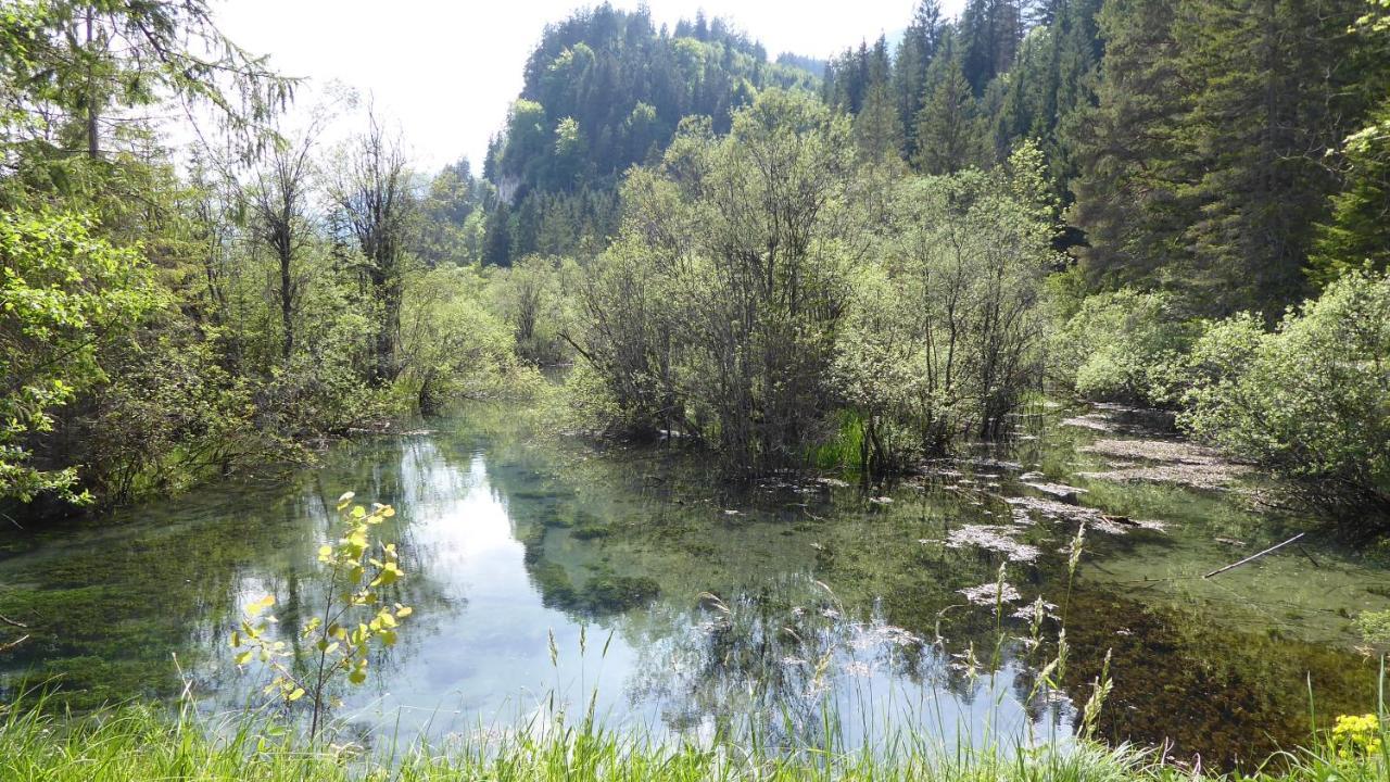 Fw Weissensee 44 Füssen Extérieur photo